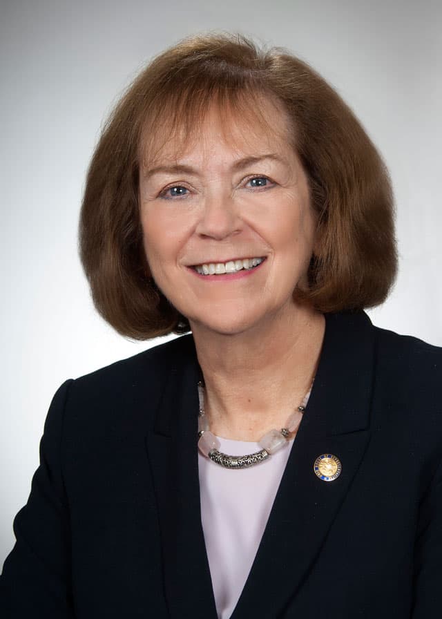 Rep. Gayle Manning headshot